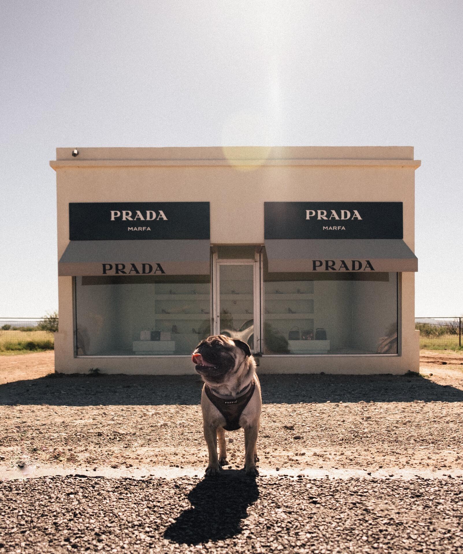 Prada Marfa